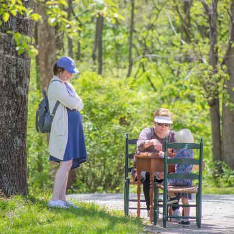 visitors enjoying the day