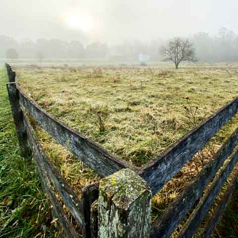 Landscape in a foggy day